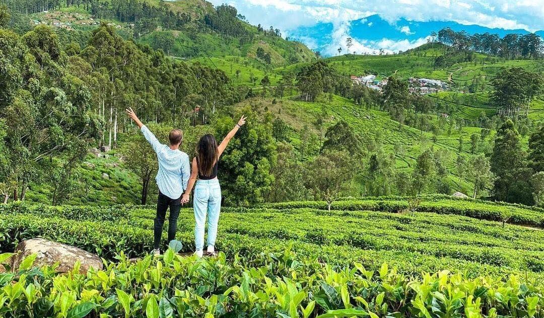 Image of couple photoshoot in a tea plantation